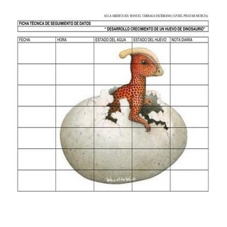 Ficha técnica de seguimiento de datos