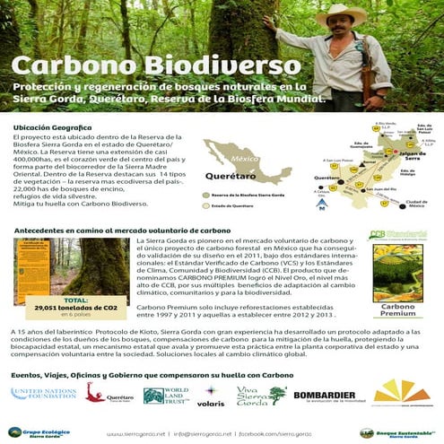 Ficha técnica de Carbono Biodiverso 