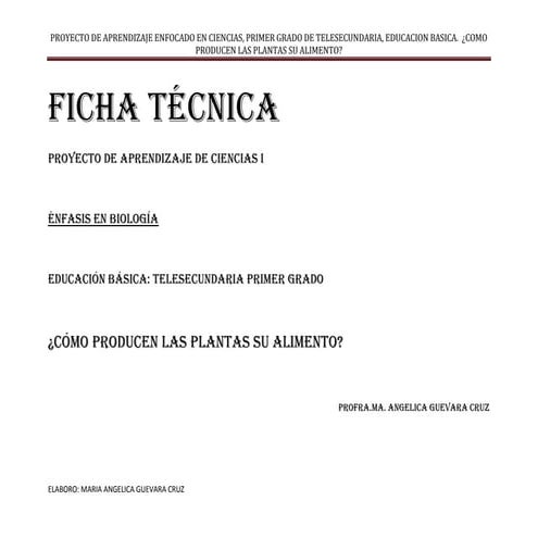 Ficha tecnica ange