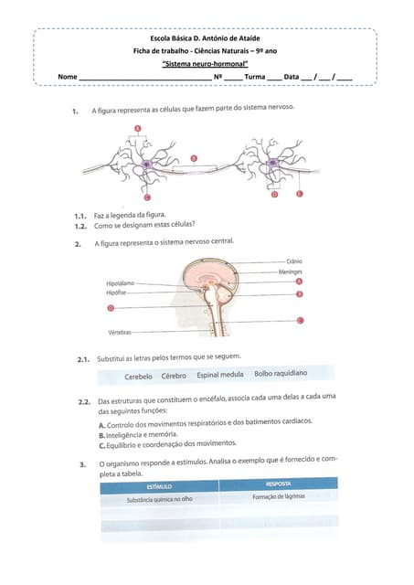 Ficha trabalho sistema neuro hormonal