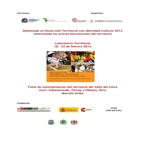 Ficha de Sistematización Valle del Colca, Marcelo Uribe Diplomado DT-IC 2013