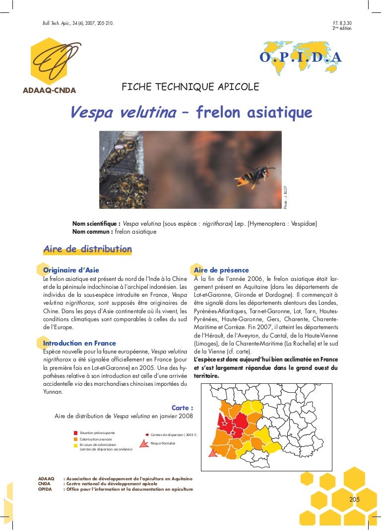 Fiche Technique Opida Frelon Asiatique