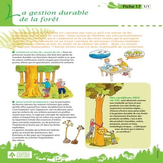 Fiche 17 la gestion durable des forêts