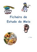 Ficheiro de estudo_do_meio