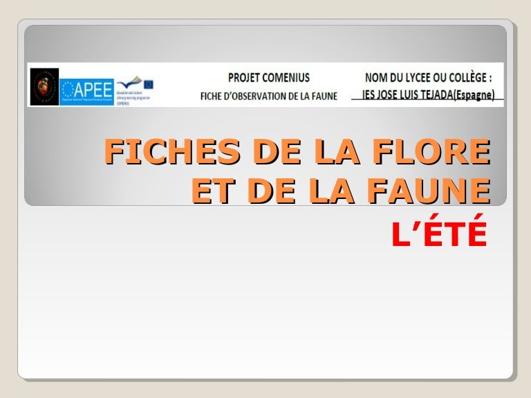 Fiches de la flore et de la faune. L'ÉTÉ