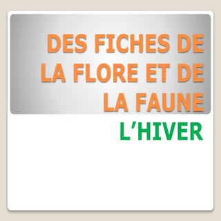 Fiches de la flore et faune (L'HIVER)