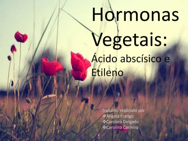 Hormonas Vegetais, Fitormonas, Ácid...
