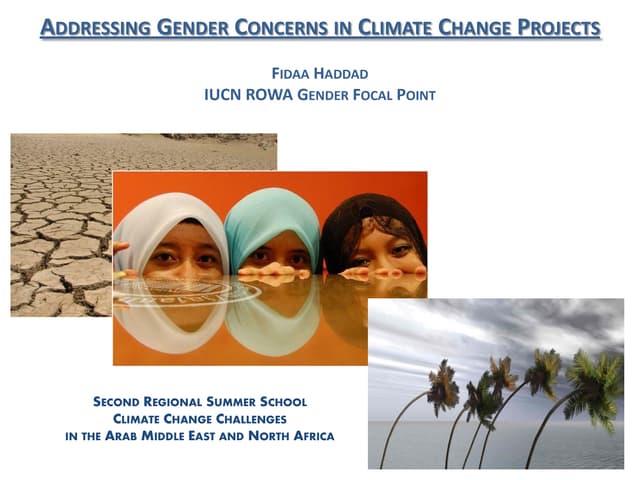 Fidaa Haddad_Addressing Gender Concerns in Climate Change Projects
