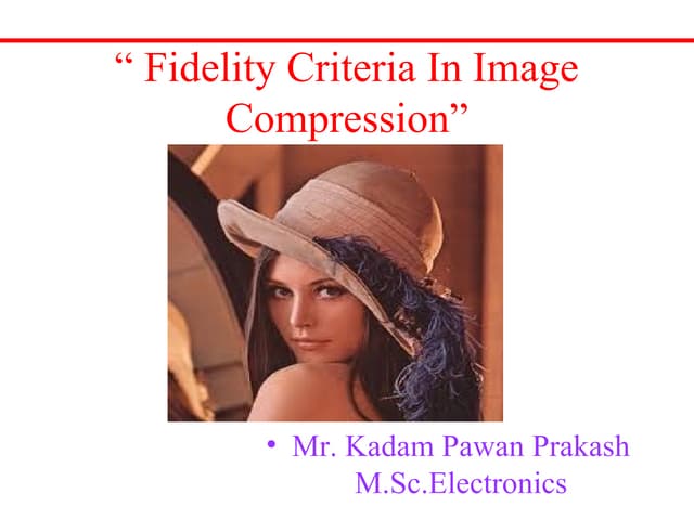 Fidelity criteria in image compression
