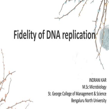 Fidelity of DNA replication 