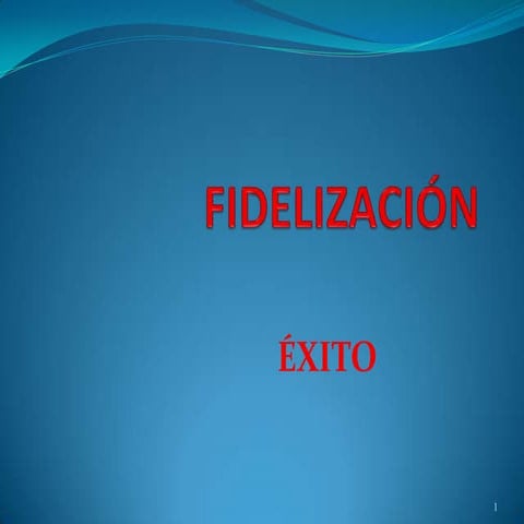 Fidelizacion 2010