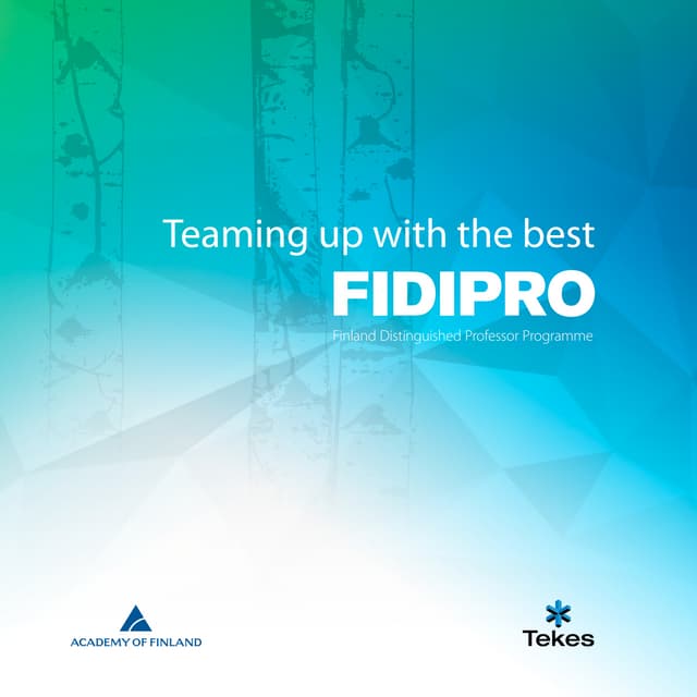 Fidipro-esite 2007 | PDF