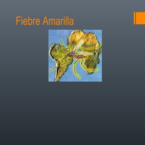 Fiebre amarilla