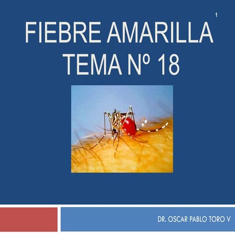 Fiebre Amarilla   18