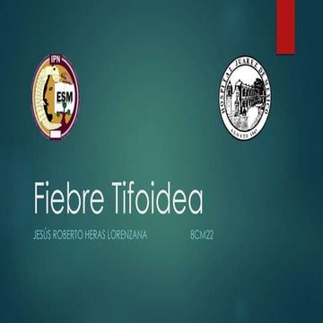 Fiebre tifoid56ea
