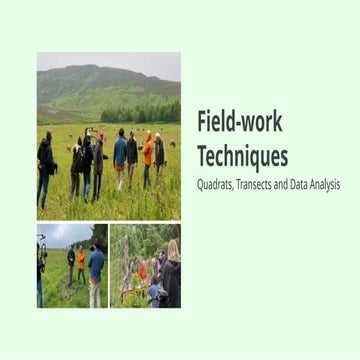 Ecological sampling | PPT