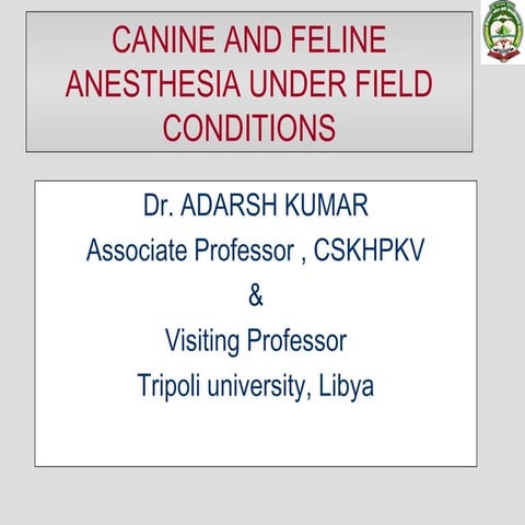 Field anesthesia canine feline