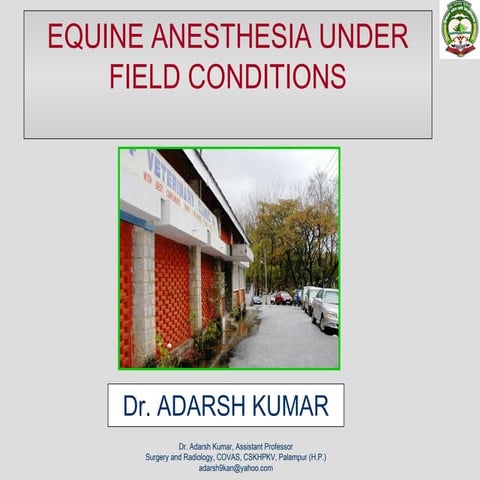 Field anesthesia horse