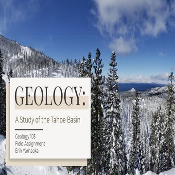 Field Assignment Geology 103