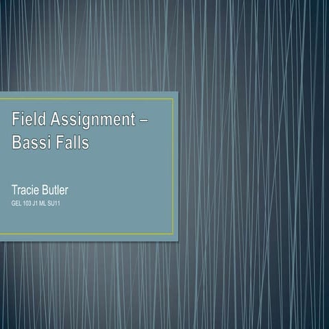 Field assignment - Bassi Falls | PPTX