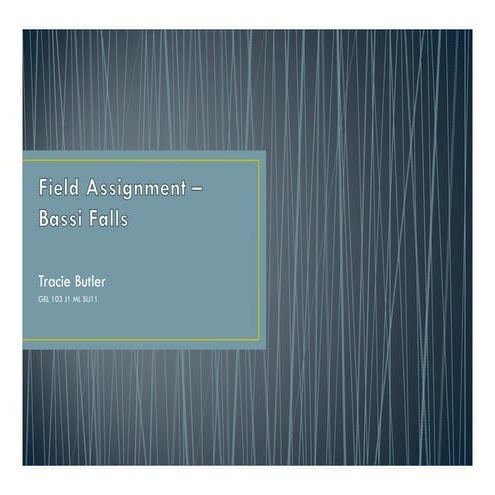 Field assignment final draft