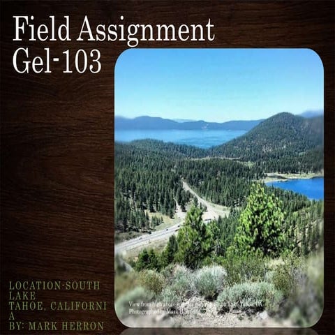 Field assignment gel 103