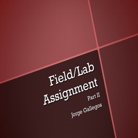Field/Lab Assignment Part 2
