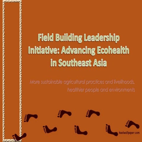 Field building leadership initiative: Advancing Ecohealth in Southeast ...