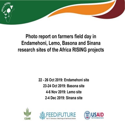 Photo report on farmers field day in Endamehoni, Lemo, Basona and Sinana rese...