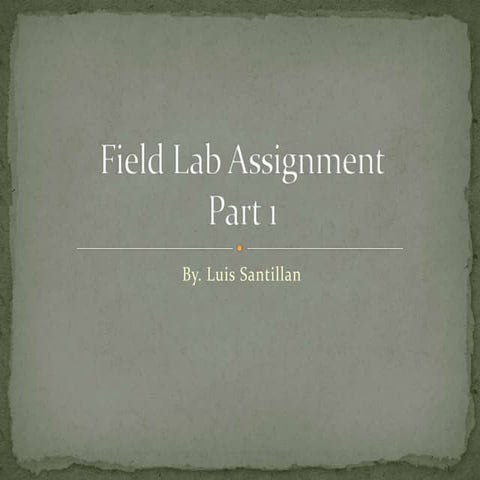 Field lab assignment