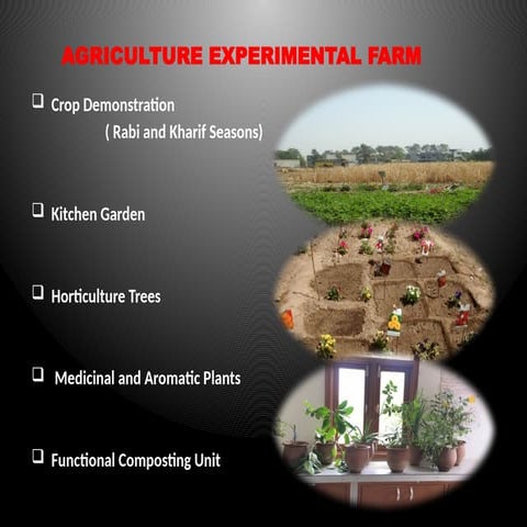 FIELD OPERATION 2017-18.pptx AGRICULTURE