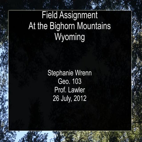 Field presentation of the Big Horn Mountains
