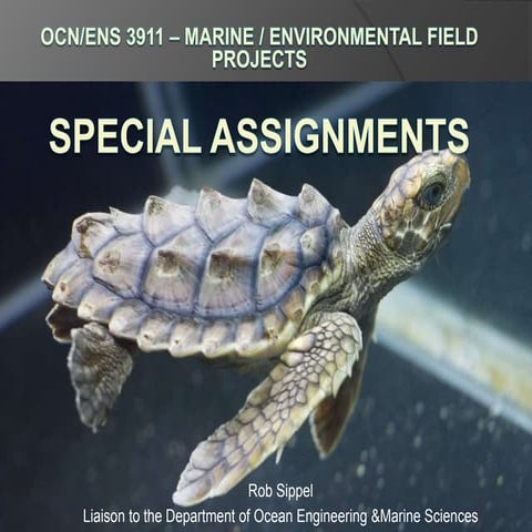 OCN 3911 Field Project - Spring 2020 Semester
