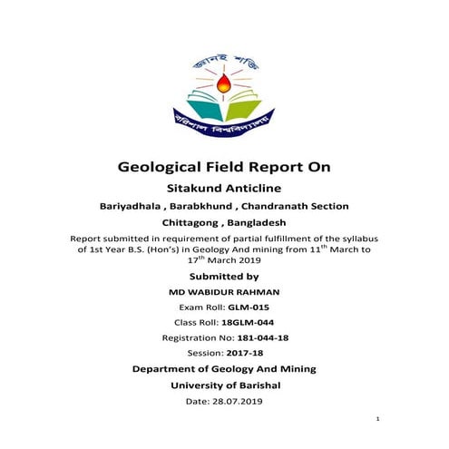 Geological fieldwork report | PDF