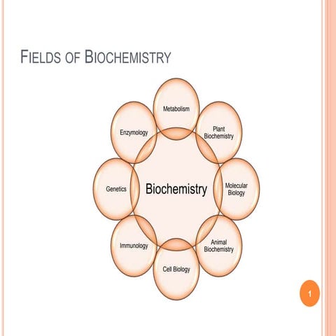 Fields of biochemistry