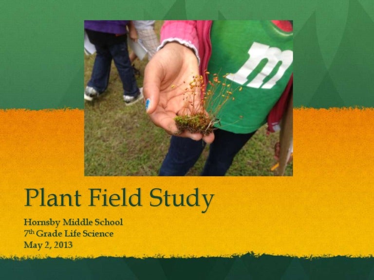 Field Study