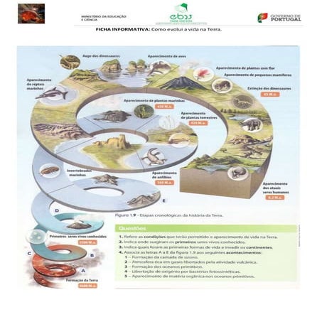 FT evolução da vida na terra