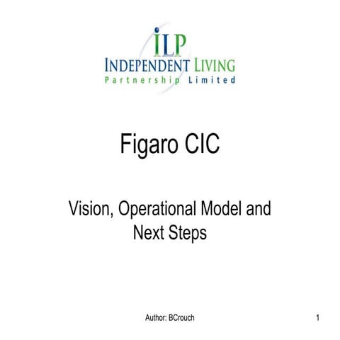 Figaro cic   vision, delivery model and next steps