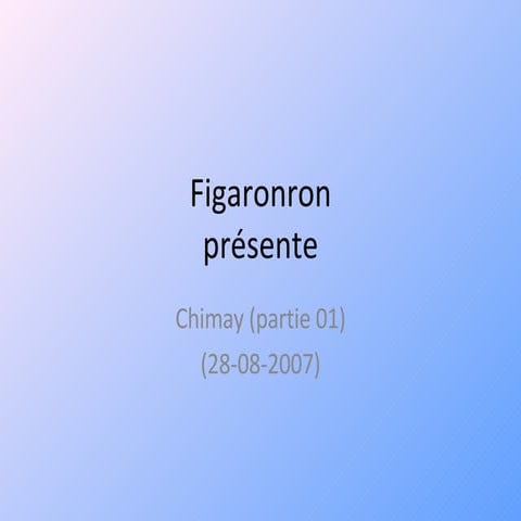 Figaronron - Chimay 2007 (Partie 01)