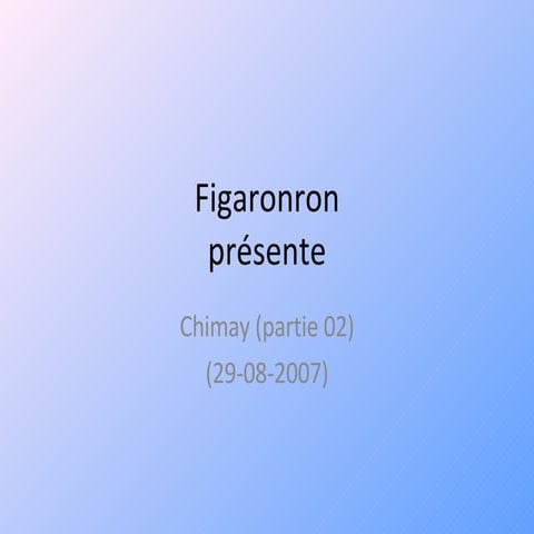 Figaronron - Chimay 2007 (Partie 02)