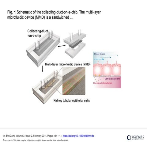 Figure of a microfluidic chip design.pptx