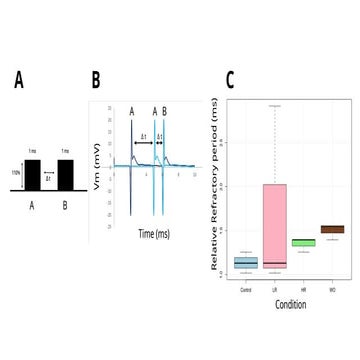 figurens data WORM lab psychobiology.pptx