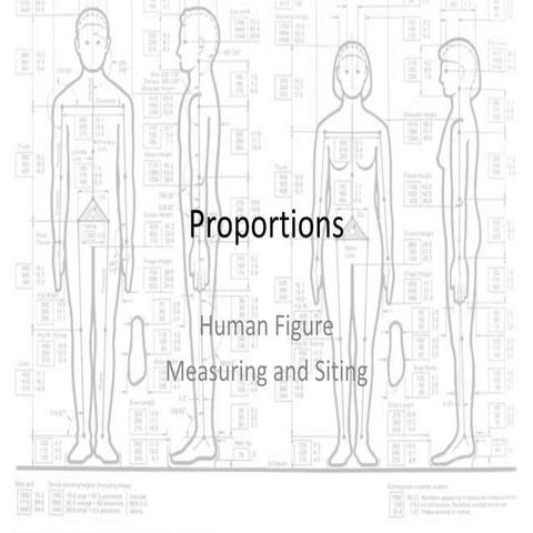 Proportions of the Figure