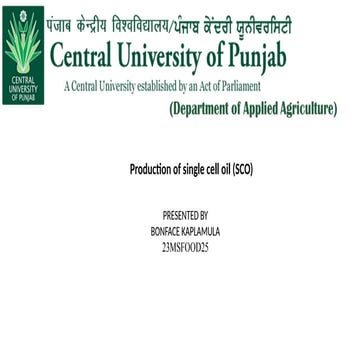 oils from microbes( yeast, fungi, bacteria and algae)