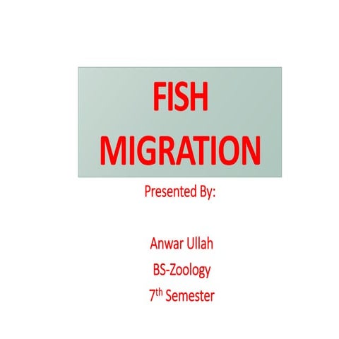 Fish Migration