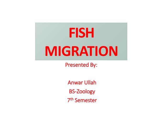 Fish Migration