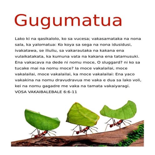 Fijian Motivational Diligence Tract.pdf