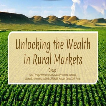 Unlocking the Wealth of Rural Markets | PDF