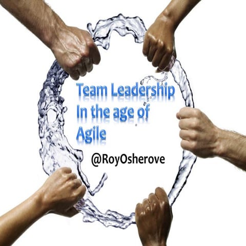 RoyOsherove_TeamLeadershipInTheAgeOfAgile