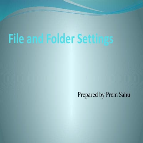 File and folder setting | PPS